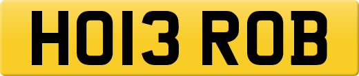 HO13ROB