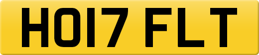 HO17FLT