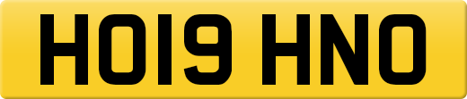 HO19HNO
