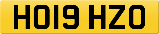 HO19HZO