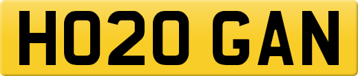 HO20GAN