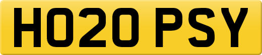 HO20PSY
