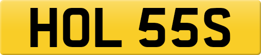 HOL55S