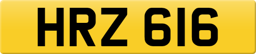 HRZ616
