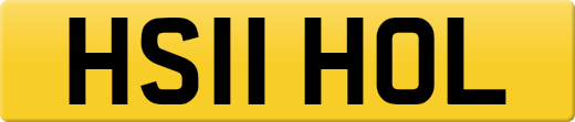 HS11HOL