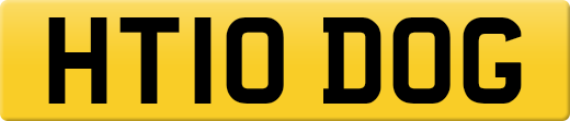 HT10DOG