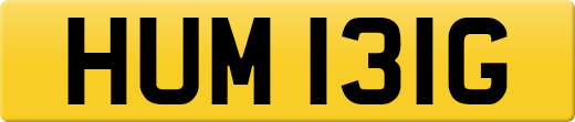 HUM131G