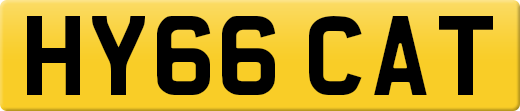 HY66CAT