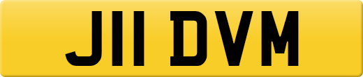 J11DVM