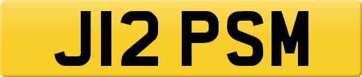 J12PSM