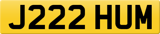 J222HUM