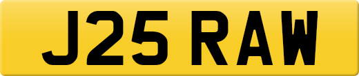 J25RAW
