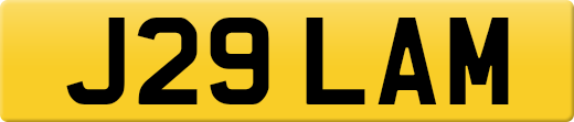 J29LAM