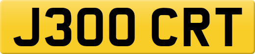 J300CRT