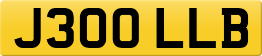 J300LLB