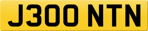 J300NTN