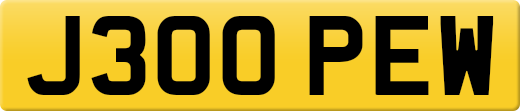J300PEW