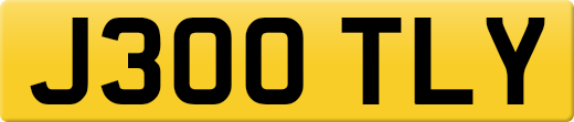 J300TLY