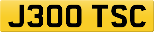 J300TSC