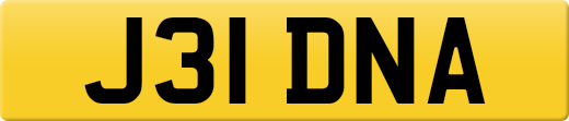 J31DNA