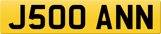 J500ANN