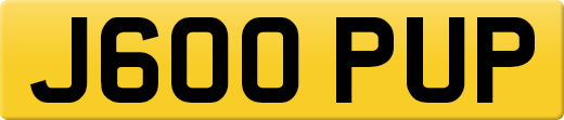 J600PUP