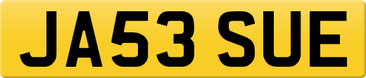 JA53SUE
