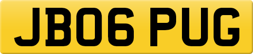 JB06PUG