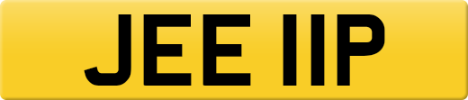 JEE11P