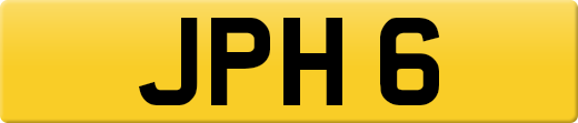 JPH6