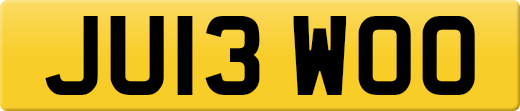 JU13WOO