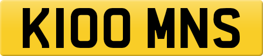 K100MNS