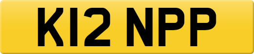 K12NPP