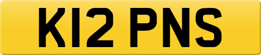 K12PNS