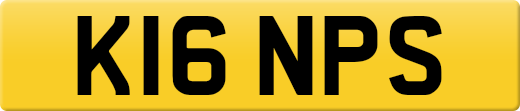 K16NPS