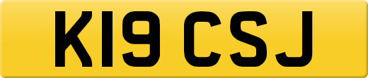 K19CSJ