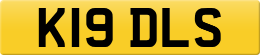 K19DLS