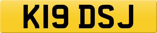 K19DSJ
