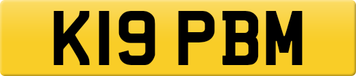 K19PBM