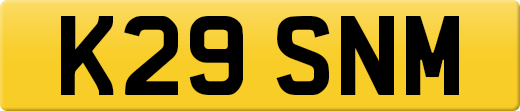 K29SNM