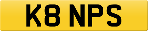K8NPS