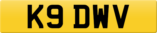 K9DWV