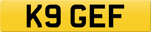 K9GEF