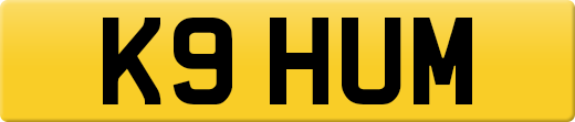 K9HUM