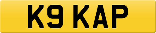 K9KAP