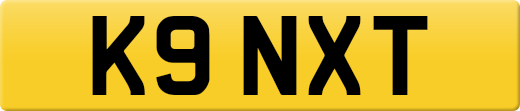 K9NXT