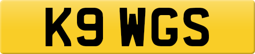 K9WGS