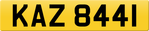 KAZ8441