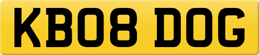 KB08DOG