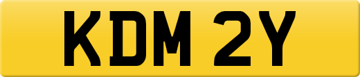 KDM2Y
